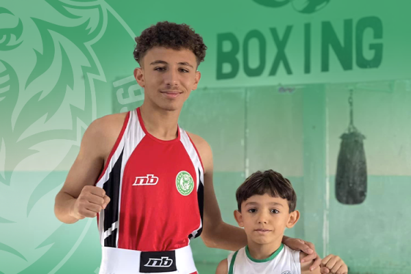 news boxe